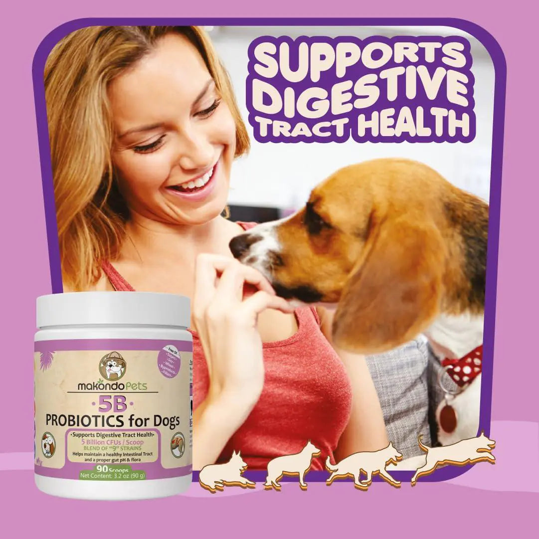 9-Strain Dog Probiotic Powder — 5 Billion CFU, Vet-Formulated