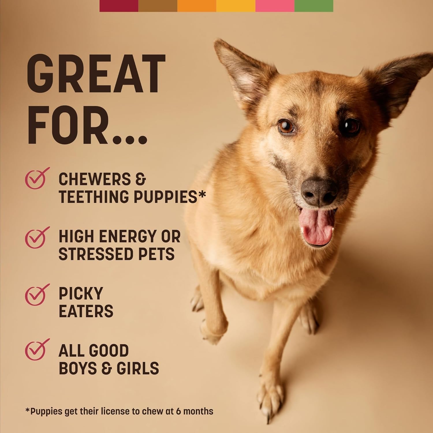 No Hide Chews - Long Lasting Rawhide Free Medium Dog Chews Rolls, Beef - 6 Count