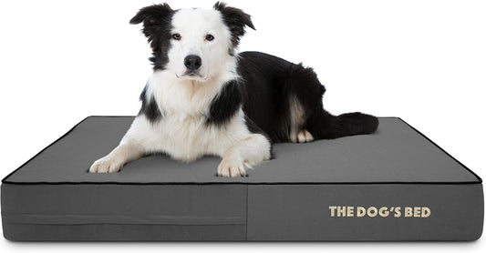 The Dog’S Bed Orthopedic Memory Foam Dog Bed Mattress, Oxford Fabric, Grey with Black Trim, L, 6-Inch