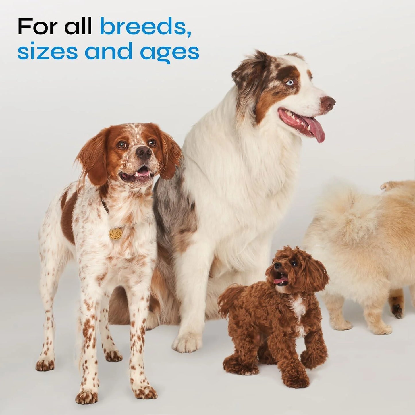 Probiotics for Dogs Dog Probiotic Chews for Digestive and Gut Health Dental Immune System Support Chewable Prebiotic Soft Treats Diarrhea and Bowel Support Supplement Wild Yam Yeast Powder