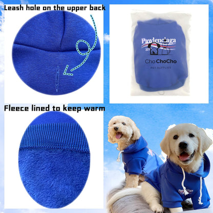 Stylish Streetwear Blue Dog Sweatshirt Tracksuits, Cats Hoodies, Dog Outfit for Cat Puppy Small Medium (XL)