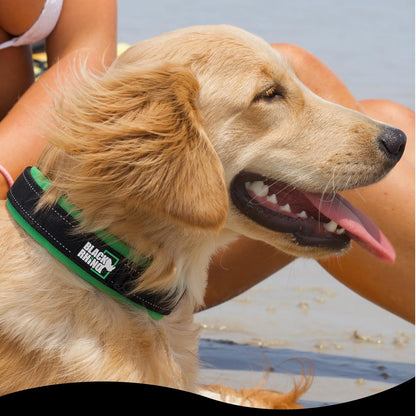 Extra Large Dog Collar - Adjustable Reflective Heavy Duty Dog Collars with Ultra-Soft Neoprene Padding - Weatherproof, Durable, and Comfortable - Ideal for Active Dogs - Red and Black