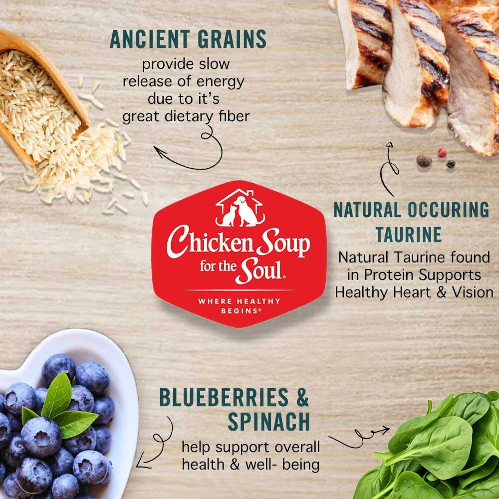 All Natural Premium Dry Kitten Food, Real Meat First Ingredient, No By-Products, Supports Brain & Vision Development, Chicken, Brown Rice & Pea, 12Lb