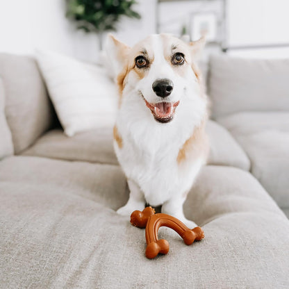 Ergonomic Hold Wishbone Power Chew Toy for Dogs, Dog Toys for Aggressive Chewers, Bison Flavor, Small - up to 25 Ibs, 1 Count
