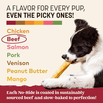 No Hide Chews - Long Lasting Rawhide Free Medium Dog Chews Rolls, Beef - 6 Count