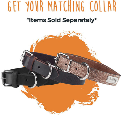 Luxury Leather Dog Leash - Genuine Material Leather Leashes for All Pet Sizes - Pet Lead - 5 Ft Premium Quality - Soft Material - Light Brown