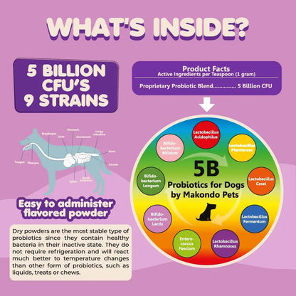 9-Strain Dog Probiotic Powder — 5 Billion CFU, Vet-Formulated
