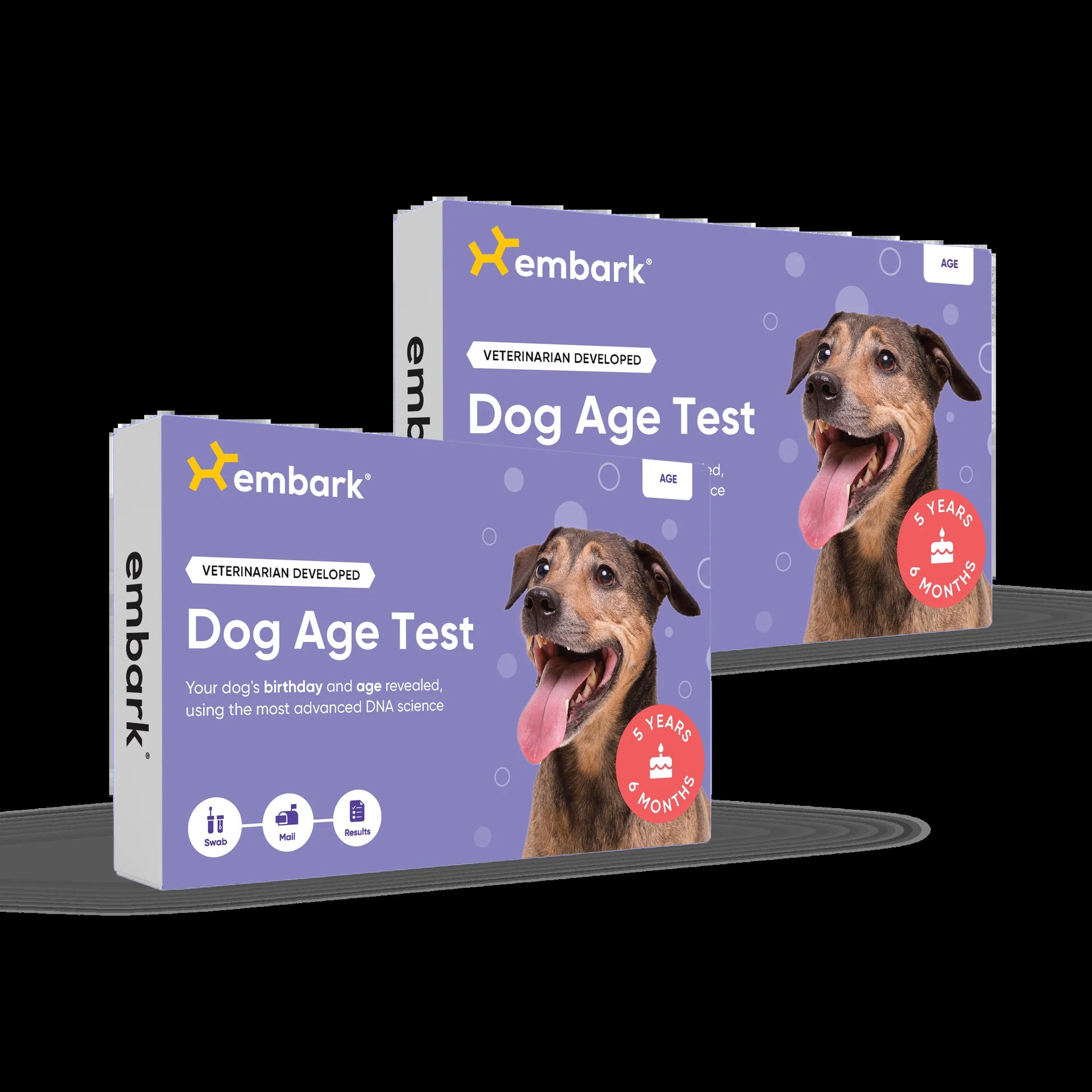 Dog Age Test