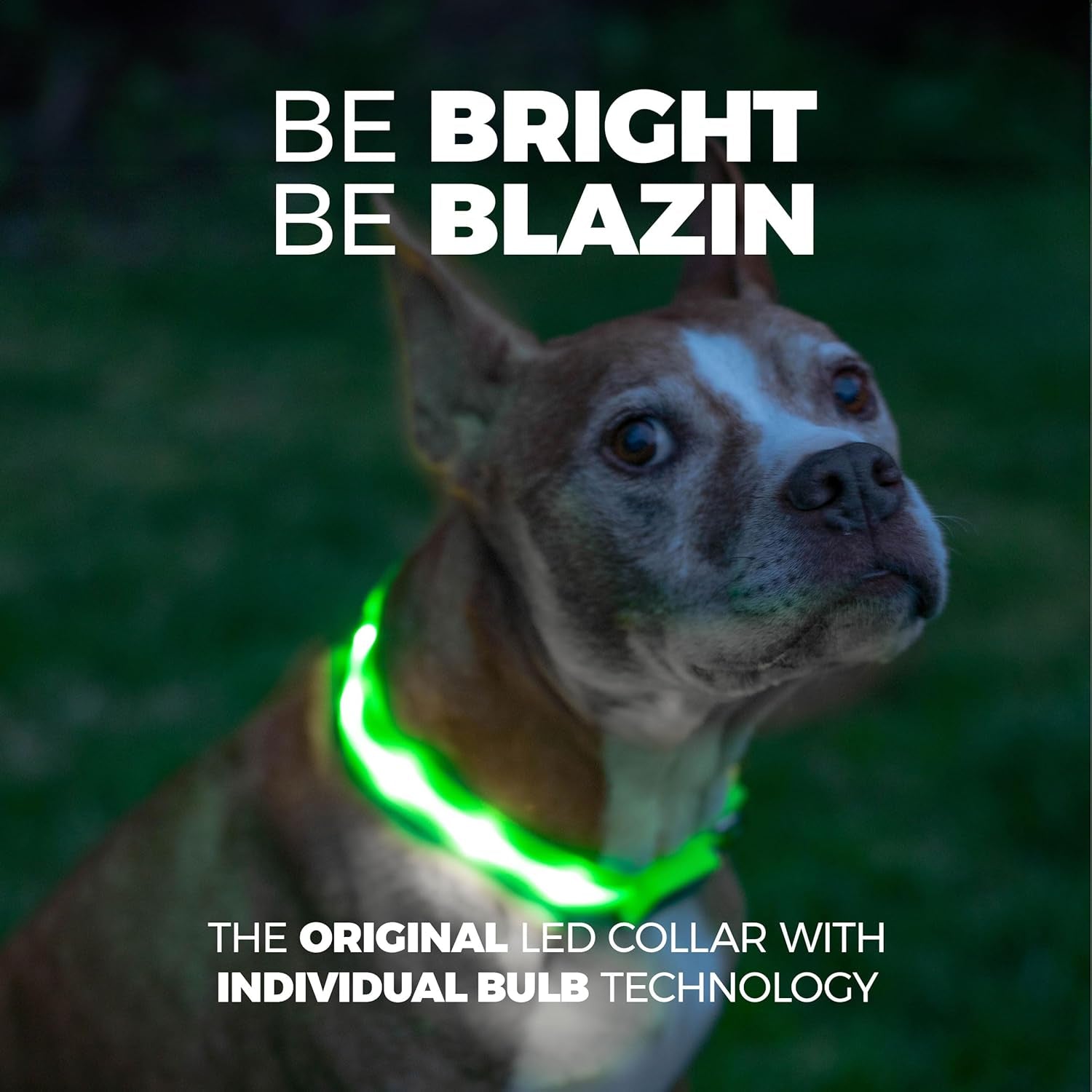 Light up Dog Collar - the Original LED Dog Collar - USB Rechargeable - Waterproof - 1,000 Feet of Visibility - Dog Collar Light for Small, Medium, Large Dogs - US Brand