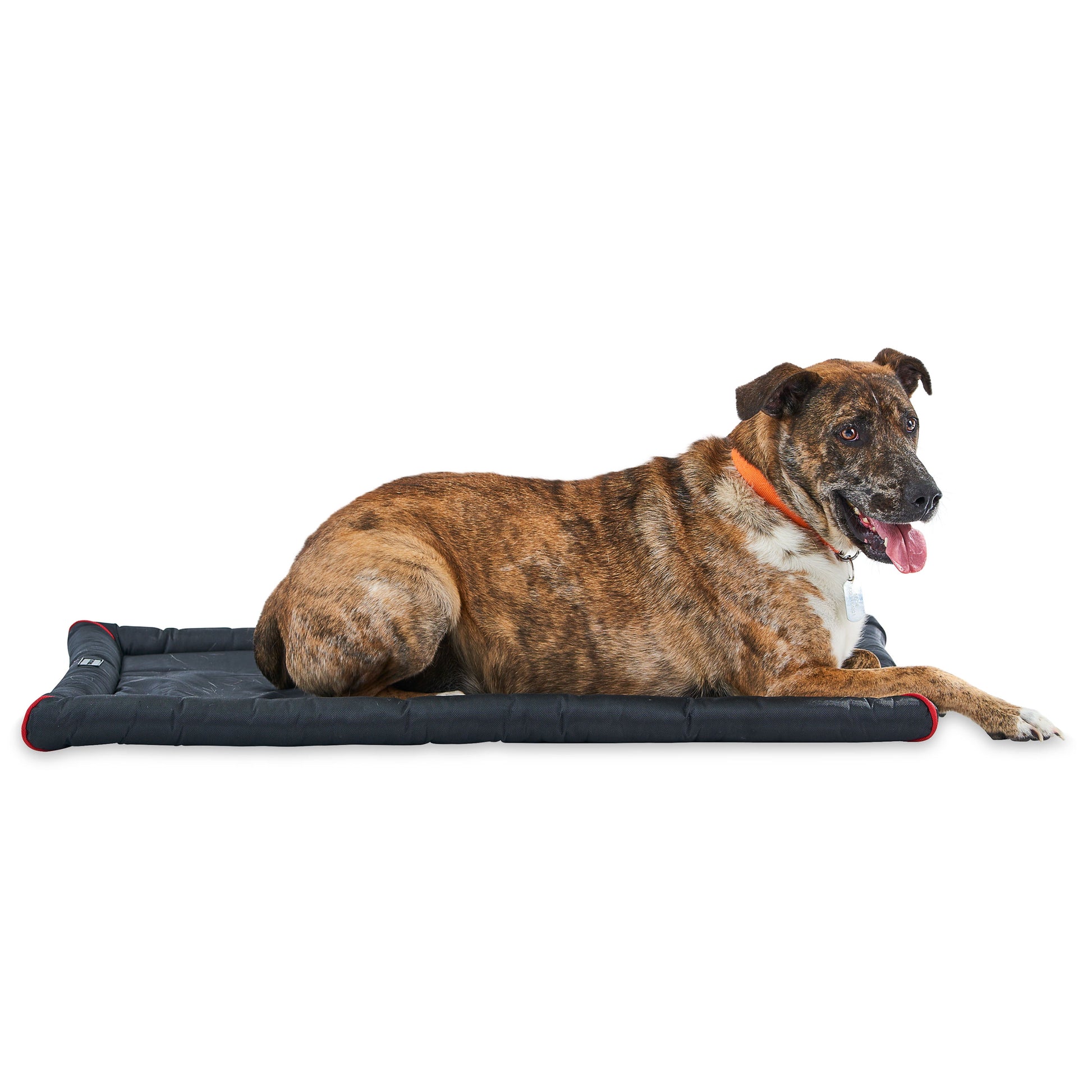 Durable & Water-Resistant Dog Crate Mat, Black, 35"