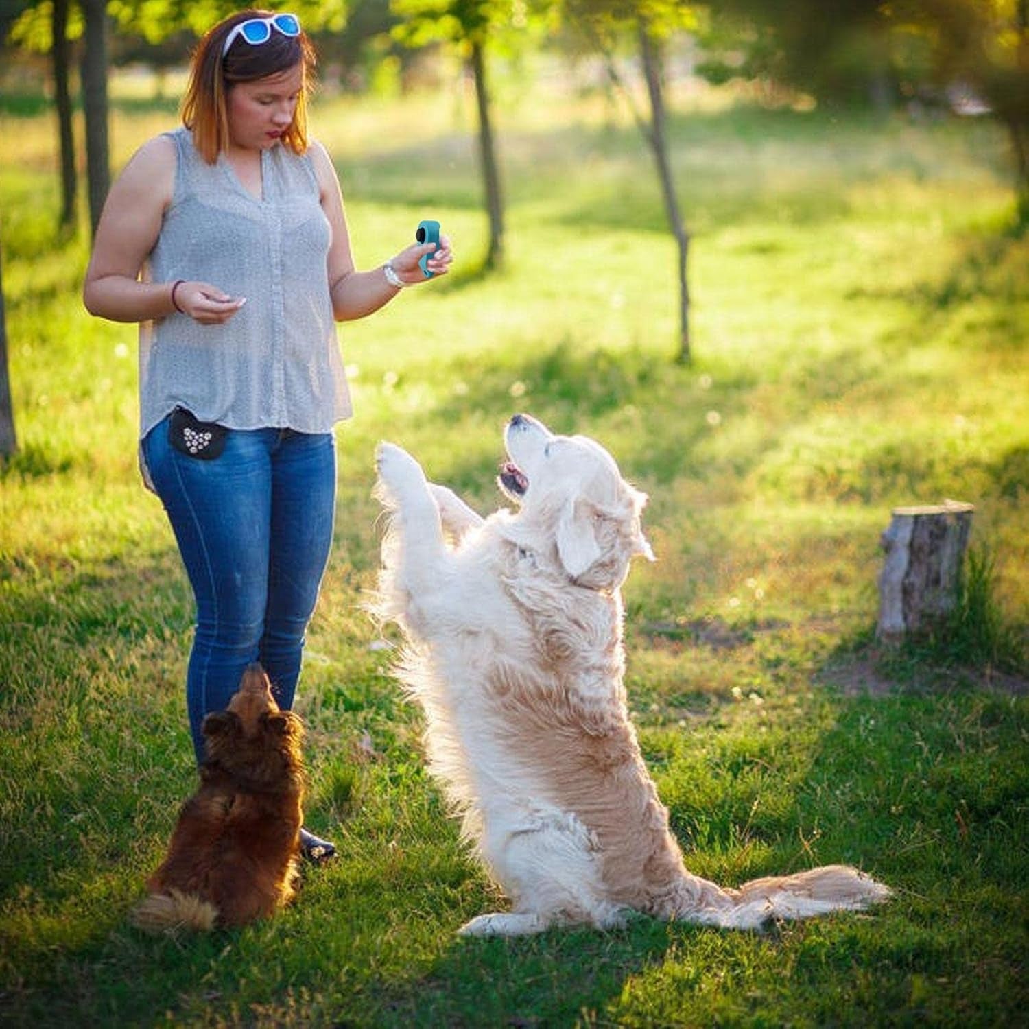 Pet Clicker Training Tool | Dog Training Clicker Tool - Pet Cat Dog Training Clickers & Behavior Aids, Convenient and Effective Clicker Training Tools for Puppy or Cat, Sky Blue