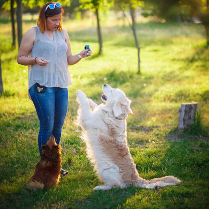Pet Clicker Training Tool | Dog Training Clicker Tool - Pet Cat Dog Training Clickers & Behavior Aids, Convenient and Effective Clicker Training Tools for Puppy or Cat, Sky Blue