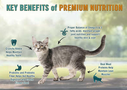 All Natural Premium Dry Kitten Food, Real Meat First Ingredient, No By-Products, Supports Brain & Vision Development, Chicken, Brown Rice & Pea, 12Lb