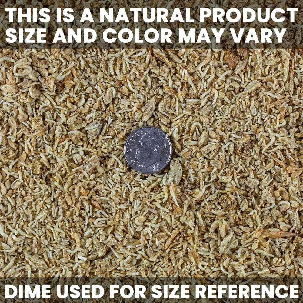 Freeze-Dried Mysis Shrimp - Premium Fish Food, Tropical Fish Food, Shrimp Food - Ideal for Freshwater and Saltwater Fish, Cichlids, Angels, Seahorses - 0.49 Oz (14G)