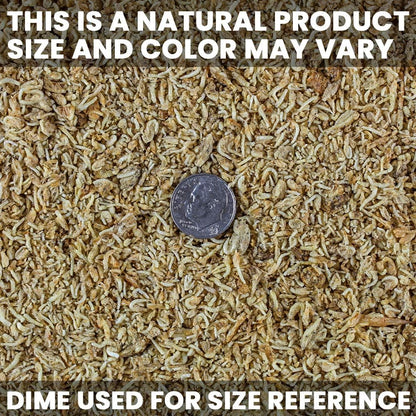 Freeze-Dried Mysis Shrimp - Premium Fish Food, Tropical Fish Food, Shrimp Food - Ideal for Freshwater and Saltwater Fish, Cichlids, Angels, Seahorses - 0.49 Oz (14G)