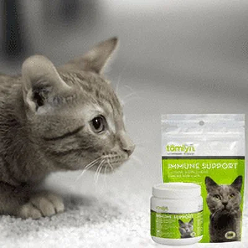 Immune Support Daily L-Lysine Powder for Cats and Kittens, Fish Flavored Lysine Supplement for Cats and Kittens to Support Immune Health, Normal Eye Function and Respiratory Health, 3.5Oz.