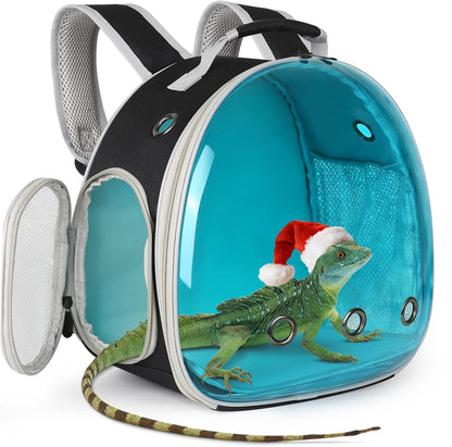 Guinea Pig Backpack Carrier, Reptile Outdoor Used,Bearded Dragon Carrier Backpack with Clear Bubble Window,Small Animal Travel Backpack for Hedgehog Rat Parrot, Airline Approved (Grey, Backpack)