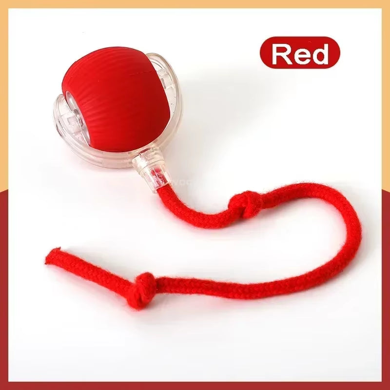 Automatic Rolling Fake Tail Ball Interactive Cats Toys Rechargeable Pet Interactive Toy Things for Cats Cat Games Accessories