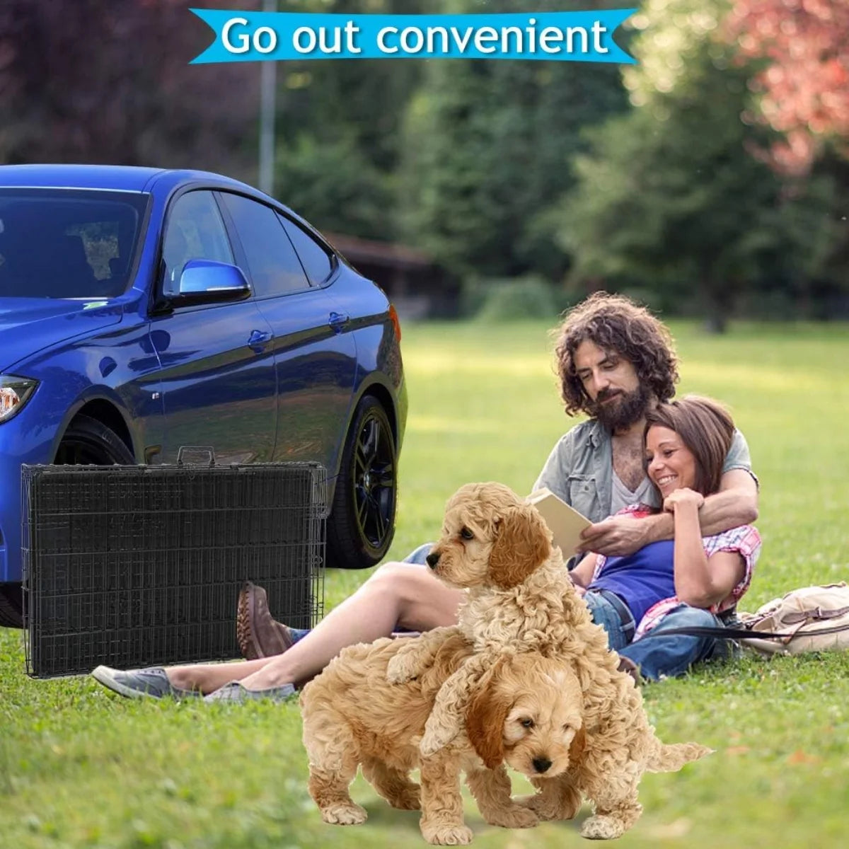 24 Inch Dog Cage for Small Dogs, Folding Dog Crate Metal Wire Crates Dog Kennels Small Puppy Crate Outdoor and Indoor Pet Crate with Double Door, Black
