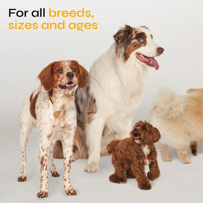Flea and Tick Prevention for Dogs Dog Flea Treatment Chews Immune Support Flea and Tick Chewables for Dogs Dog Flea & Tick Control Supplement All Breeds & Ages Vet Formulated Soft Treats