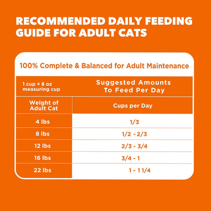 Proactive Health Adult Healthy Dry Cat Food with Chicken, 22 Lb. Bag