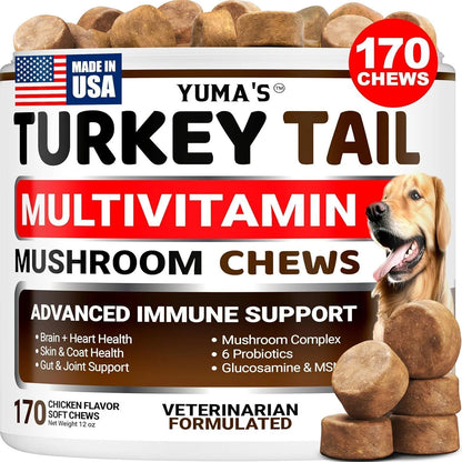 Turkey Tail Mushroom for Dogs Vitamins and Supplements for Dogs Lumps and Bumps Guard Multivitamin Buddy