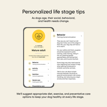 Dog Age Test