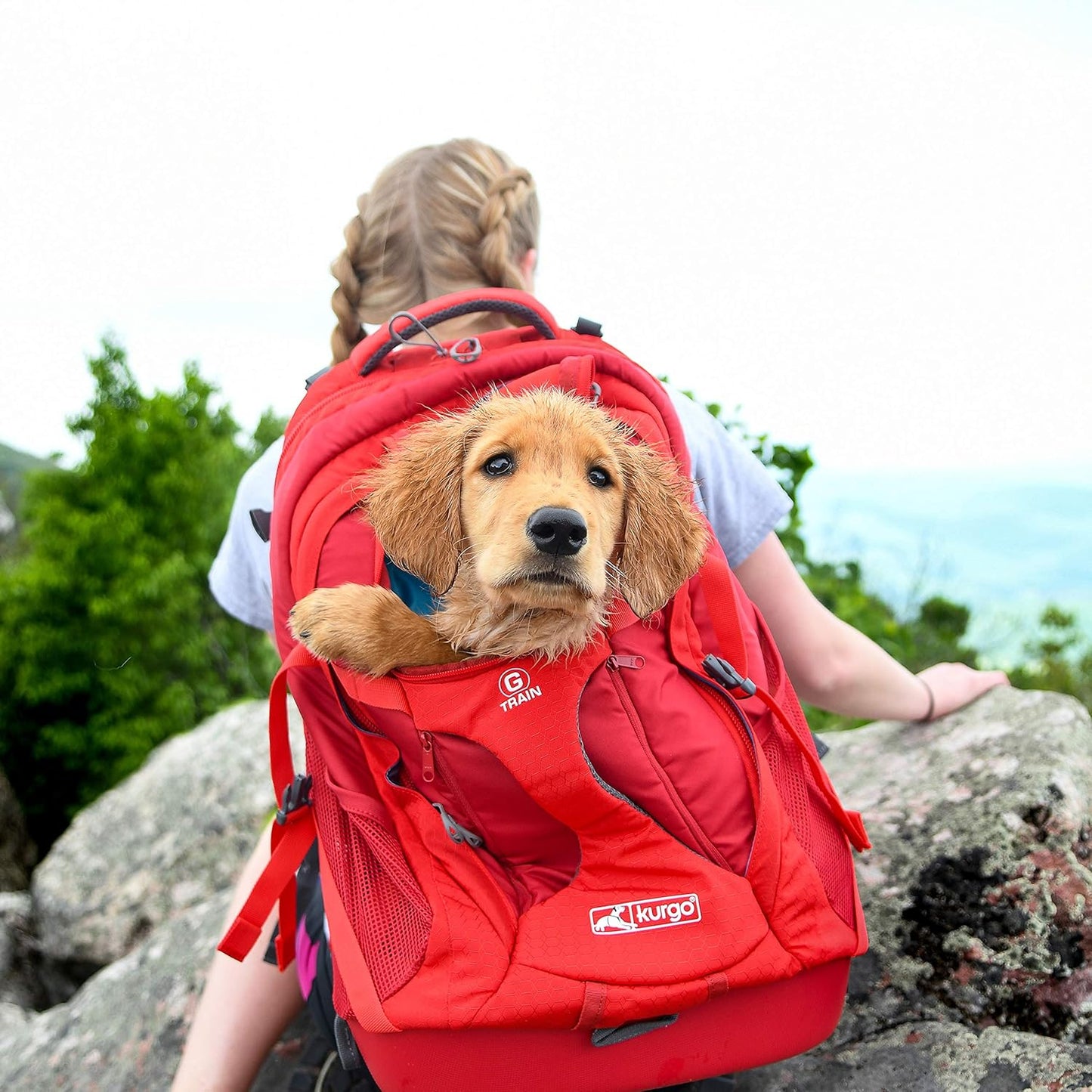G-Train Dog Carrier Backpack - Comfortable Travel Bag - Waterproof Armorsole Base - Convertible Backpack to Carrier - Padded Laptop Compartment - Hands-Free Pet Travel Backpack