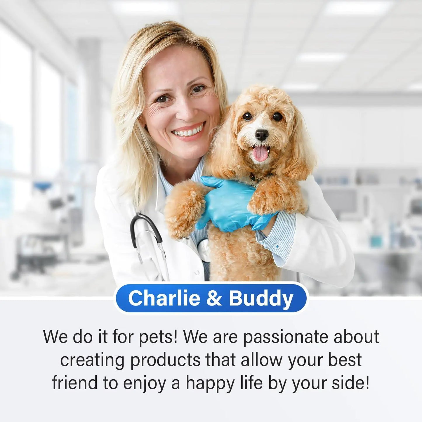 Calming Chews — Chill Out, Pup (Naturally)