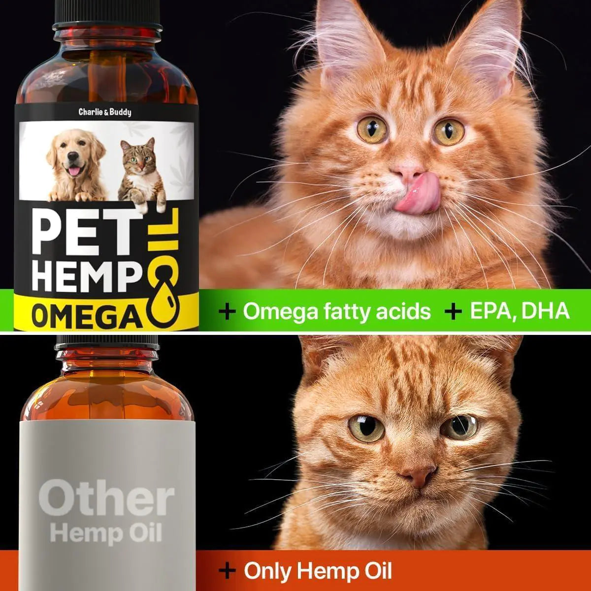 Hemp & Salmon Oil Drops — Omega 3, 6 & 9 in One Pour