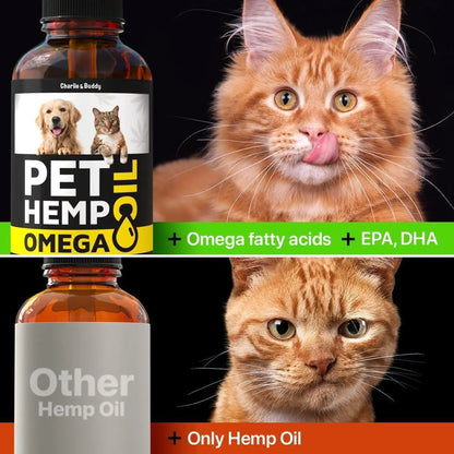 Hemp & Salmon Oil Drops — Omega 3, 6 & 9 in One Pour