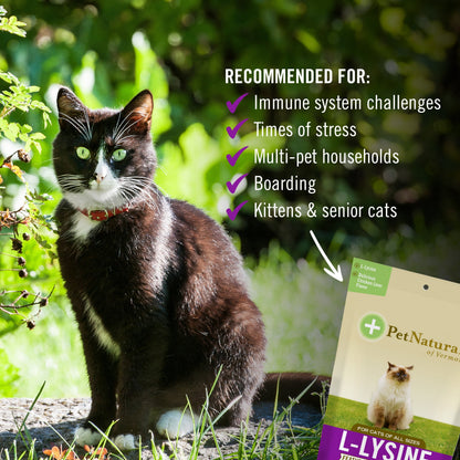 L-LYSINE CHEWS for CATS