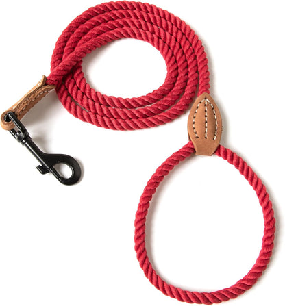 Dog Leash, Braided Cotton Rope Leashes with Leather Tip - Heavy Duty Metal Clasp, 4FT, 1/2" Thick - Wedding, Walking & Training Leash for Small Medium Large Dogs (Dark Brown)