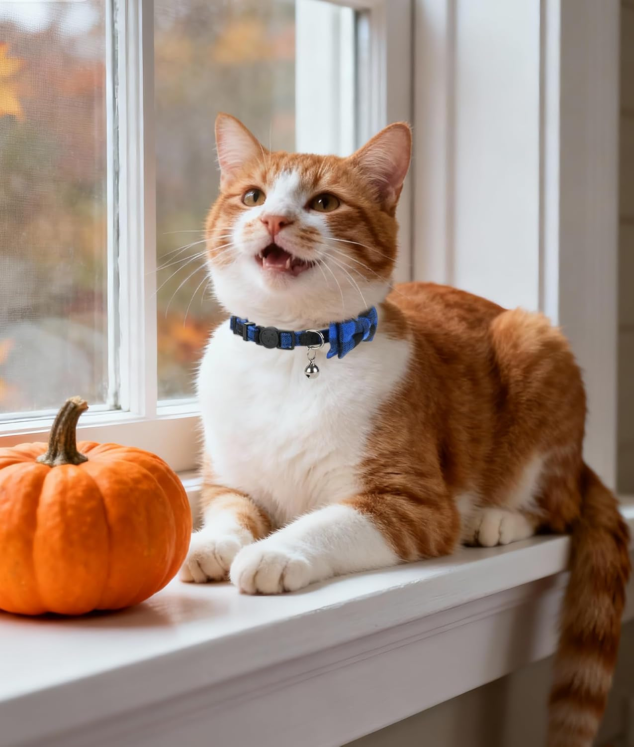 Upgraded Cat Collar with Bells, Breakaway Cat Collars with Bow Tie, 1 Pack Girl Boy Safety Plaid Kitten Collars, Blue