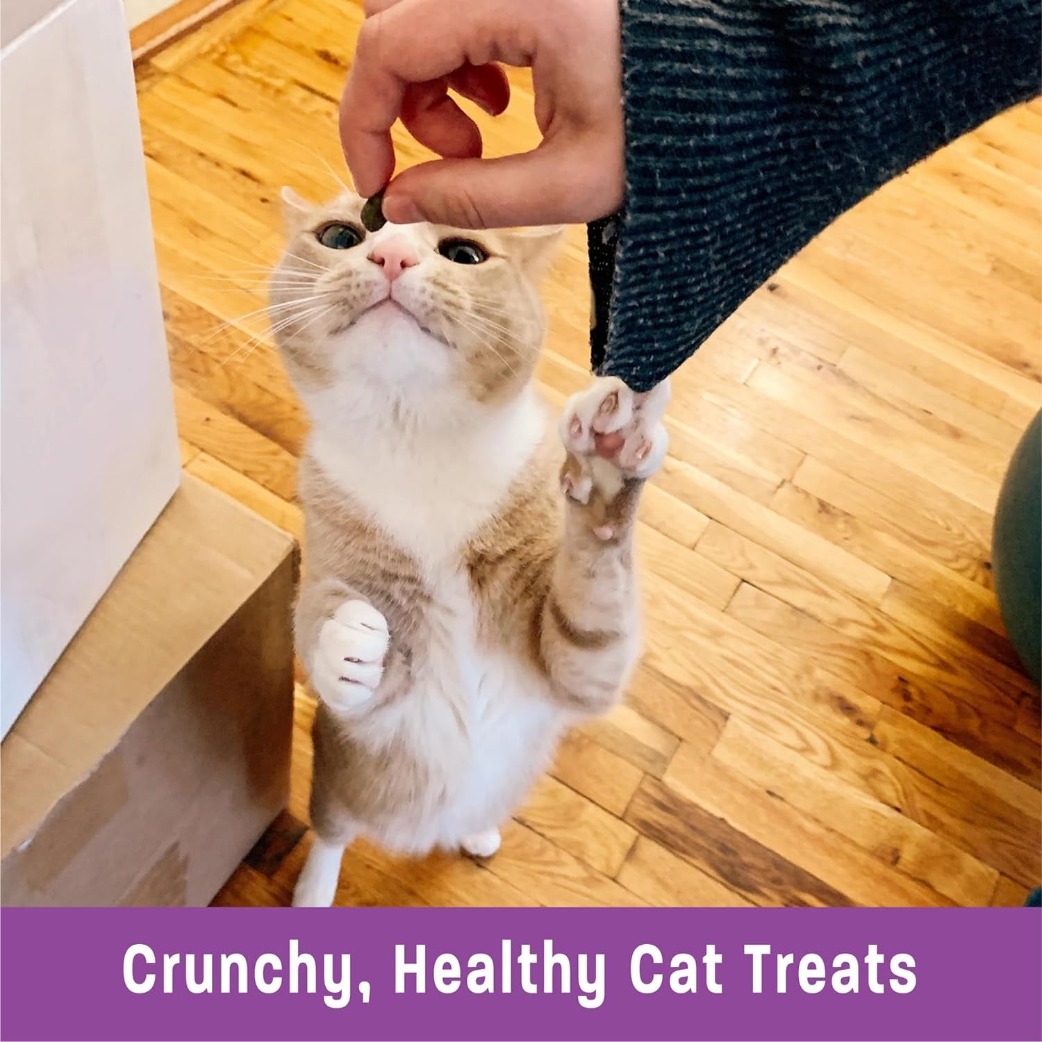 Kittles Crunchy Natural Grain-Free Cat Treats, Chicken & Cranberry, 2-Ounce Bag