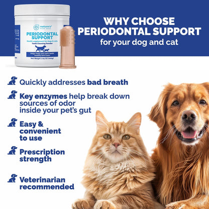 Periodontal Powder Support Cat & Dog Tooth Enzyme Oral Care, 200G