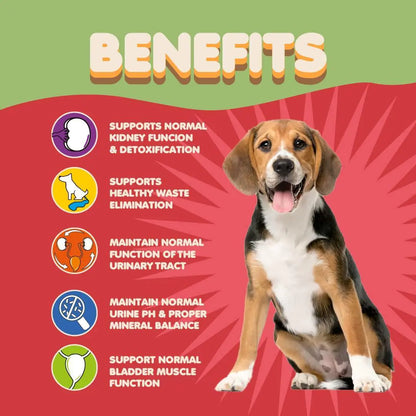 Cranberry UTI Supplement for Dogs — Bladder Defense, Daily
