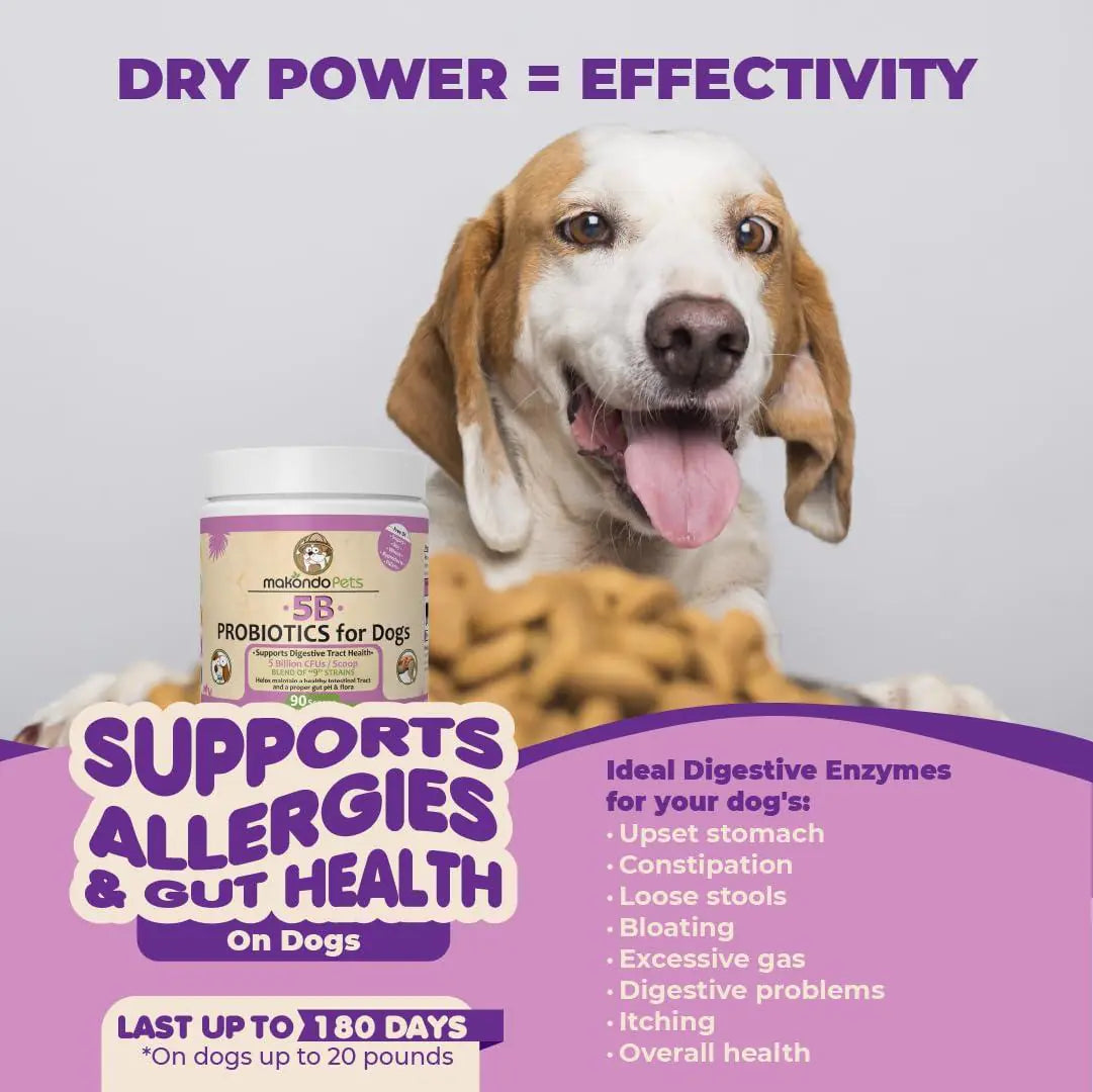 9-Strain Dog Probiotic Powder — 5 Billion CFU, Vet-Formulated