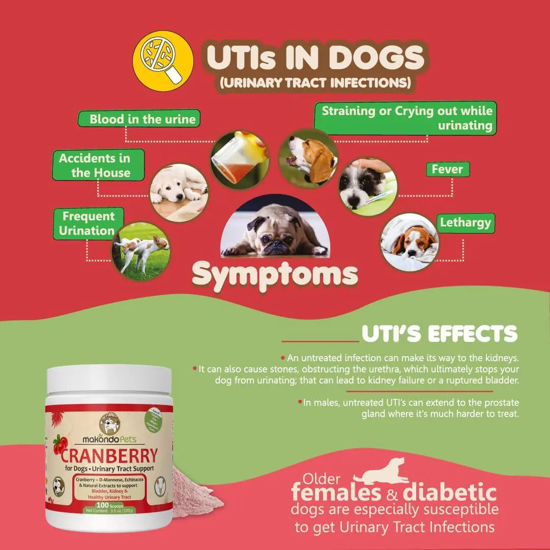 Cranberry UTI Supplement for Dogs — Bladder Defense, Daily