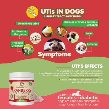 Cranberry UTI Supplement for Dogs — Bladder Defense, Daily
