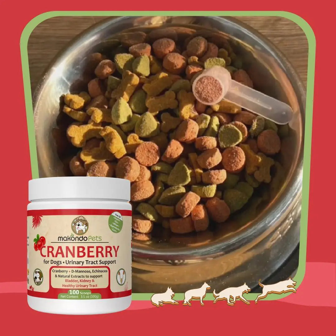 Cranberry UTI Supplement for Dogs — Bladder Defense, Daily
