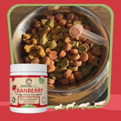 Cranberry UTI Supplement for Dogs — Bladder Defense, Daily