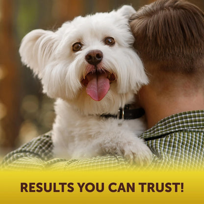 Scoot Stopper Fiber Chews — Anal Glands, Solved Naturally