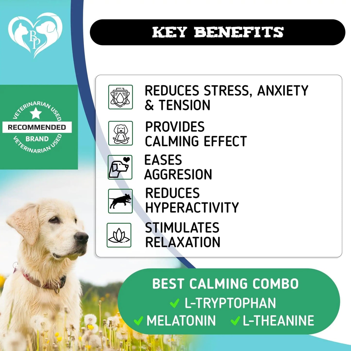 Hemp Calming Chews — Separation Anxiety, Actually Addressed
