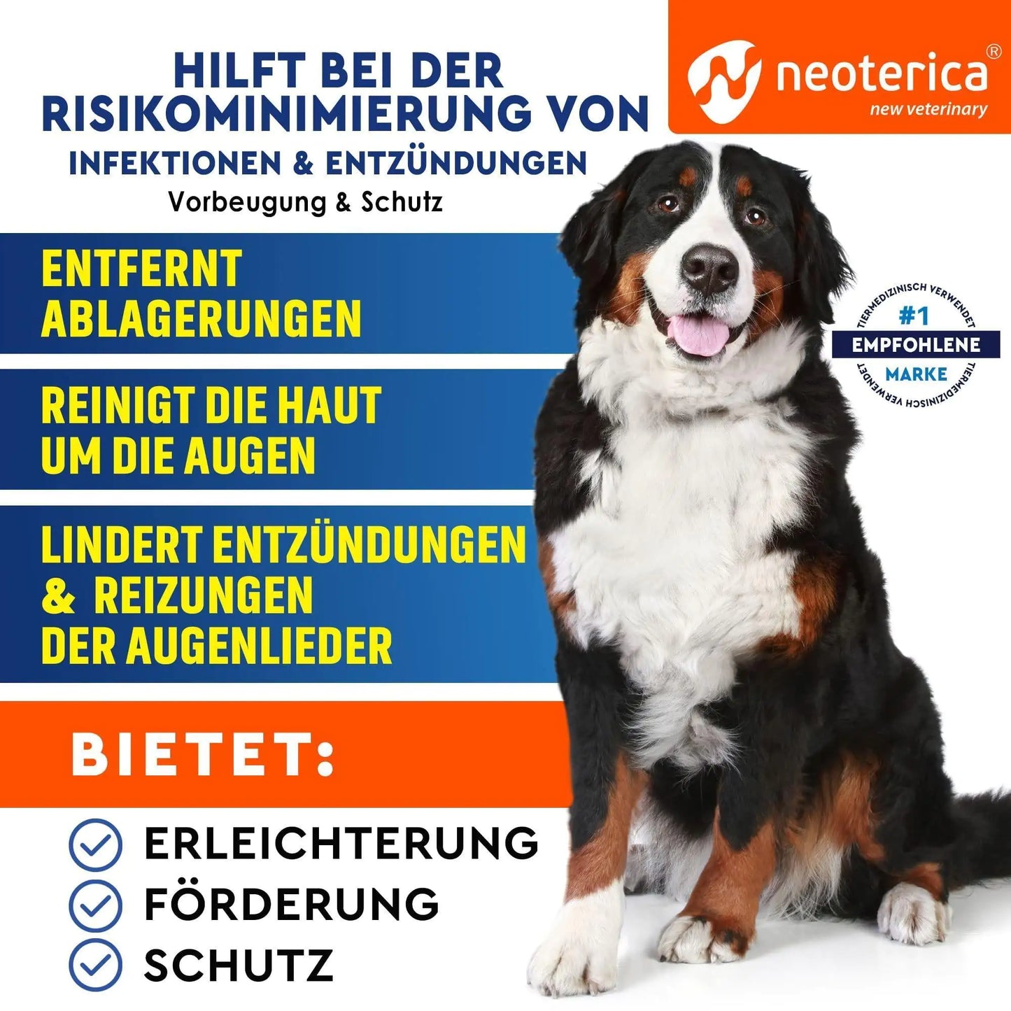 Pet Eye Wash — Clear Eyes, Happy Face