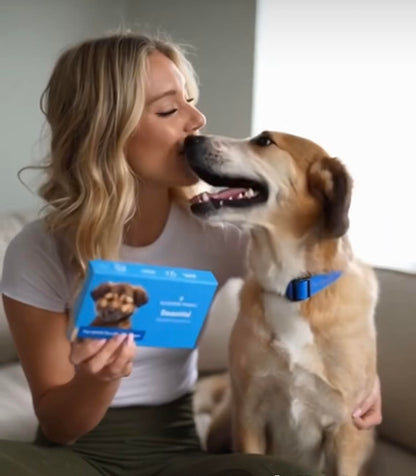 Wisdom Panel Essential DNA Test — 350+ Breeds + Health Insights
