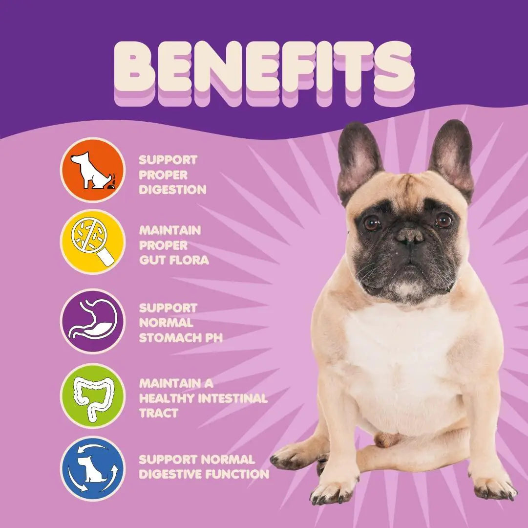 9-Strain Dog Probiotic Powder — 5 Billion CFU, Vet-Formulated