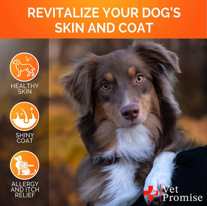 Omega-3 Skin & Coat Chews — The Difference You Can See