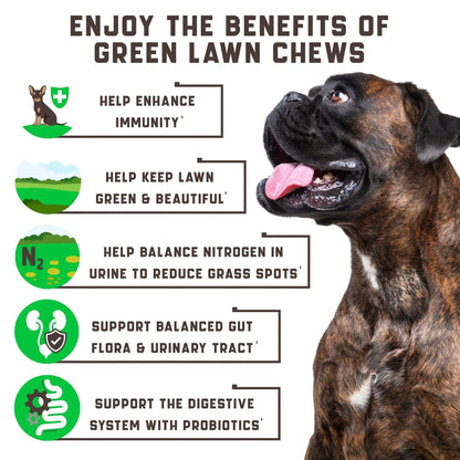Green Lawn Chews — Stop the Yellow Spots Before They Start