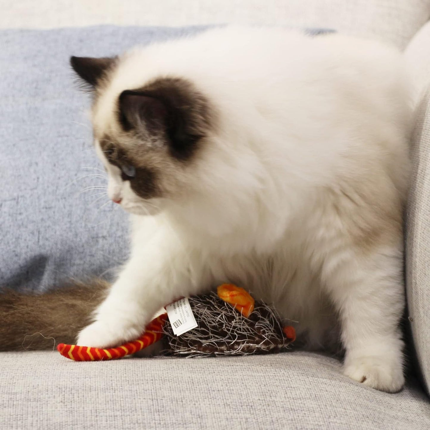 Interactive Cat Toys for Indoor Cats, Cat Mouse Toys with Electronic Realistic Squeaky Sound, Automatic Moving Kitten Toys Electric Mice Toy Self Play Exercise(Orange Ear)